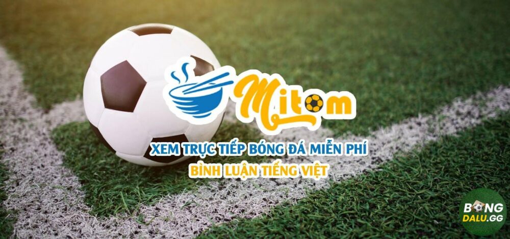 Giới thiệu tổng quan về Mitom TV - địa chỉ xem trực tiếp bóng đá