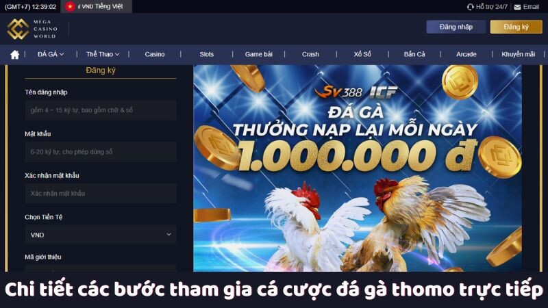 Chi tiết các bước tham gia cá cược đá gà thomo trực tiếp