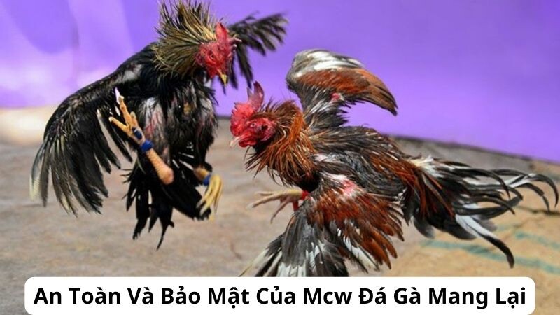 An Toàn Và Bảo Mật Của Mcw Đá Gà Mang Lại